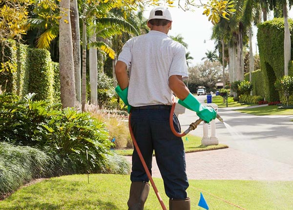 About Tarrs PA Pest Control